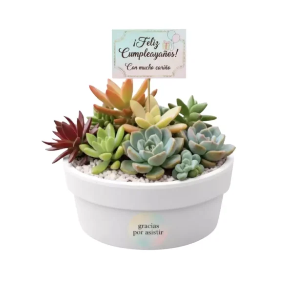 Vinde regalos ecológicos Arreglo con plantas suculentas con sticker en maceta de barro. Regalo personalizado para eventos sociales o empresariales