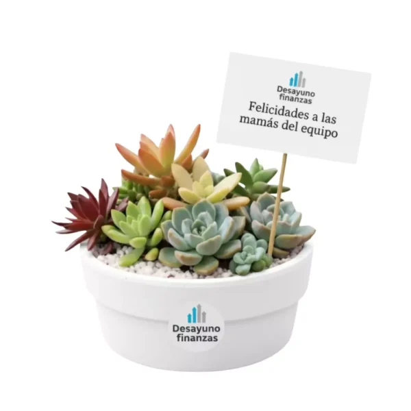 Vinde regalos ecológicos CDMX Arreglo con plantas suculentas con sticker en maceta de barro. Regalo personalizado para eventos sociales o empresariales