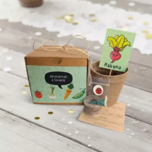 Kit de huerto infantil recuerdos ecológicos CDMX