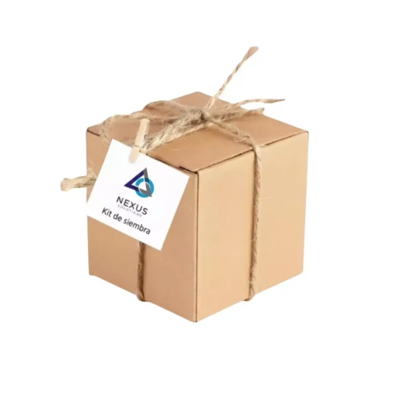 Kit de huerto personalizados para empresas Kit de siembra en caja para eventos empresariales en CDMX