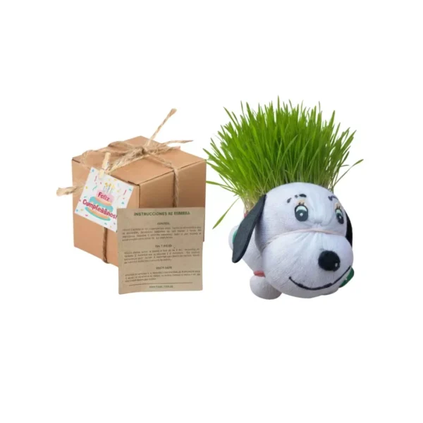 Kit infantil regalos ecologicos CDMX Regalos ecológicos para niños: Figuras de animalitos con semillas de pasto CDMX. Fiestas infantiles