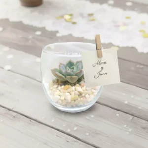 Miniterrarios recuerdos eventos CDMX Miniterrarios de cristal personalizados con planta suculenta. Ideal para recuerdos ecológicos sociales