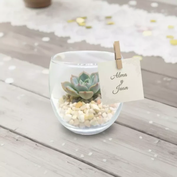 Miniterrarios recuerdos eventos CDMX Miniterrarios de cristal personalizados con planta suculenta. Ideal para recuerdos ecológicos sociales