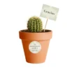 Recuerdos ecologicos cactus CDMX Vinde Cactus en maceta de barro. Ideal para regalo en cumpleaños, aniversarios, y en eventos sociales y empresariales, restaurantes, caferías y terrazas.