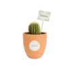 Recuerdos ecologicos cactus personalizados Cactus en maceta de barro. Ideal para regalo en cumpleaños, aniversarios, y en eventos sociales y empresariales, restaurantes, caferías y terrazas.