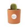 Recuerdos eventos cactus en barro Cactus en maceta de barro. Ideal para regalo en cumpleaños, aniversarios, y en eventos sociales y empresariales, restaurantes, caferías y terrazas.