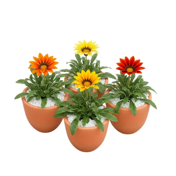 Recuerdos para eventos empresariales Plantas de interior en maceta de barro