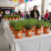 Hierbas aromáticas en maceta de barro para evento del 10 de mayo