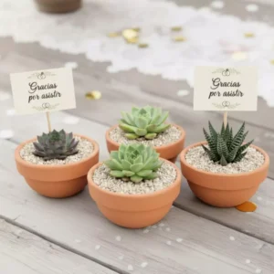 Suculentas en barro recuerdos bodas Suculentas en maceta de barro para eventos sociales y corporativos en CDMX