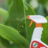 Biodi plus Insecticida orgánico Biodiplus. Combate plagas sin contaminar tus plantas u hortalizas