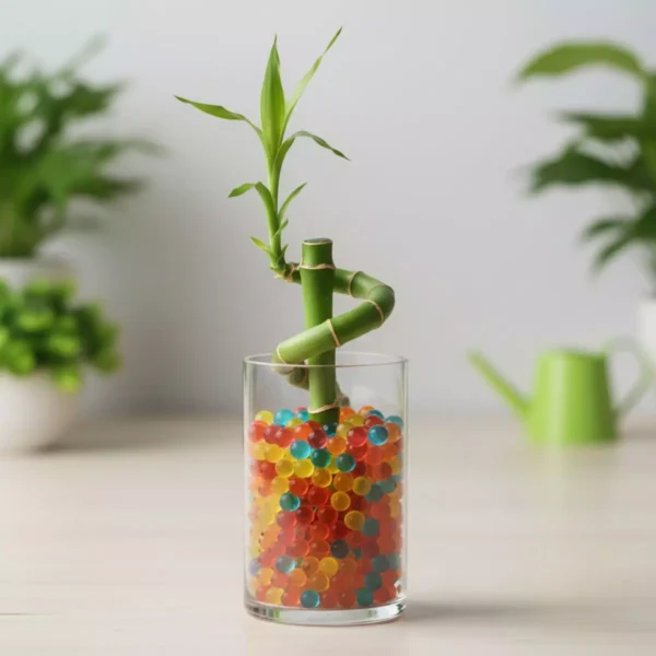 Bolsita de hidrogel (orbis) para plantas