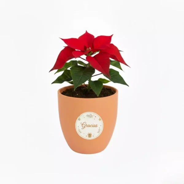 Nochebuena en maceta de barro con diseño navideño