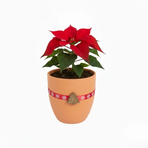Nochebuena en maceta de barro con diseño navideño