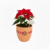 Nochebuena en maceta de barro con diseño navideño
