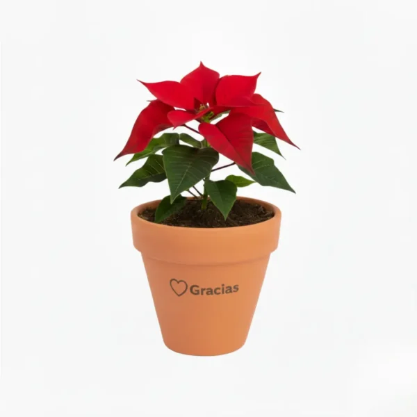 Nochebuena en maceta de barro con diseño navideño