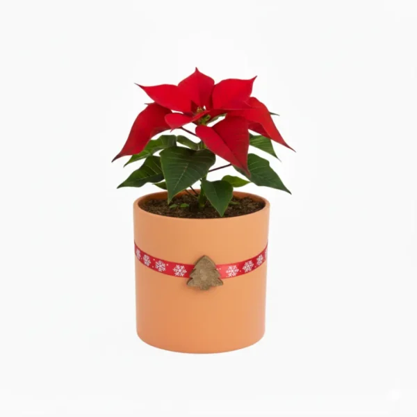 Nochebuena en maceta de barro con diseño navideño