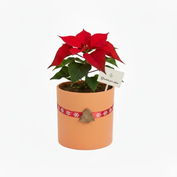 Nochebuena en maceta de barro con diseño navideño