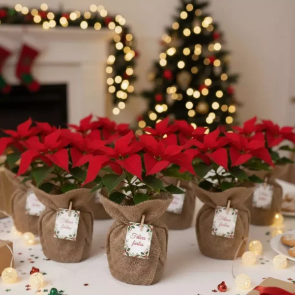 Nochebuena envuelta en tela para reuniones familiares, de oficina o en el trabajo