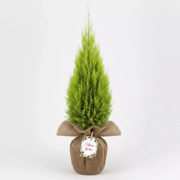 Pino navideño envuelto en tela para reuniones familiares, de oficina o en el trabajo