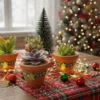 Regalos ecológicos. Suculentas en maceta de barro con toque navideño. CDMX