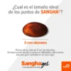 Sangha gel, cebo biodegradable para combatir cucarachas. Muy efectivo. Para casa