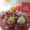 Regalos ecológicos. Suculentas personalizadas con temática de navidad. CDMX