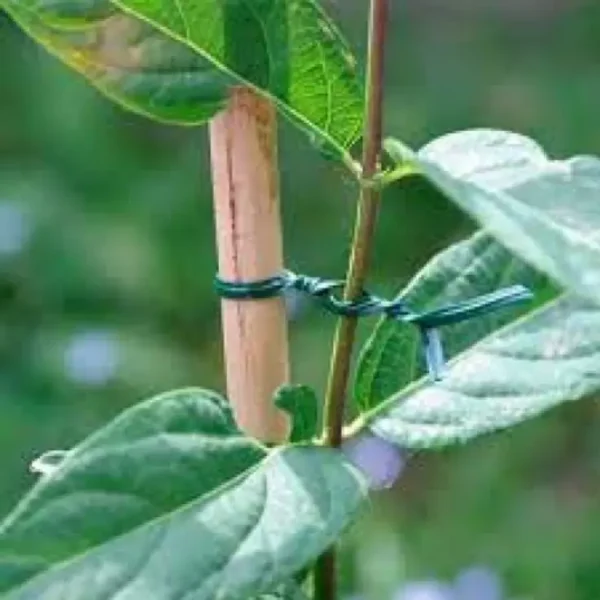 Tutorar plantas Cinta de amarre tipo bimbo para tutorar plantas en jardinería y huerto. Marca Truper