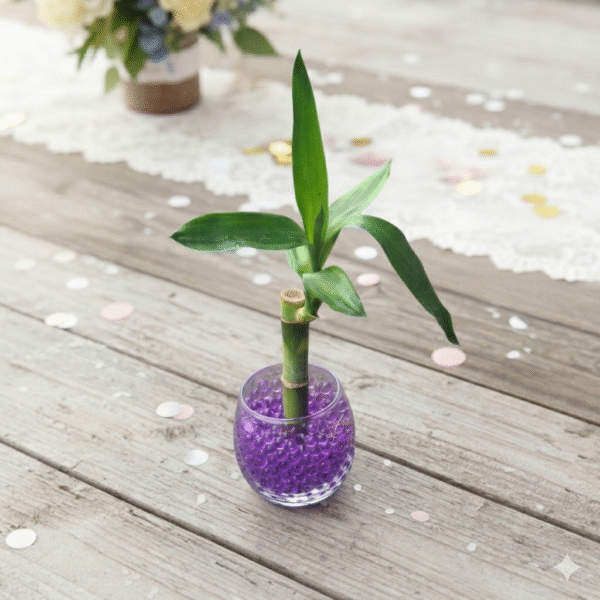 Bambú en pecera de cristal para eventos sociales