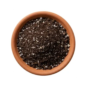 Sustrato de germinación Vinde