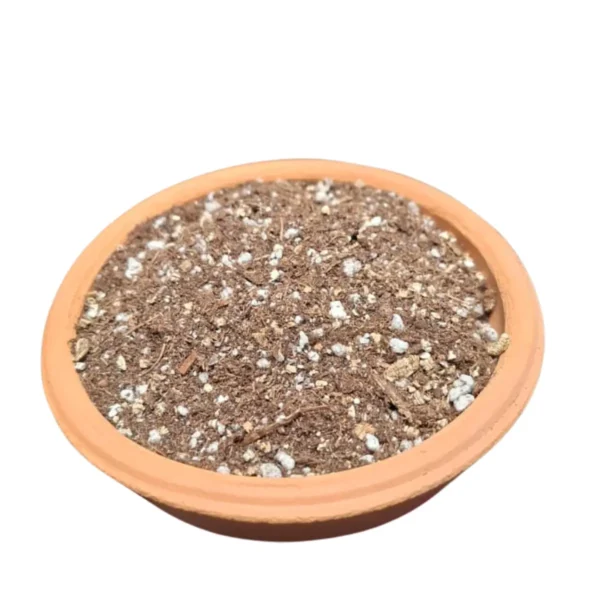 Sustrato para plantas carnívoras.