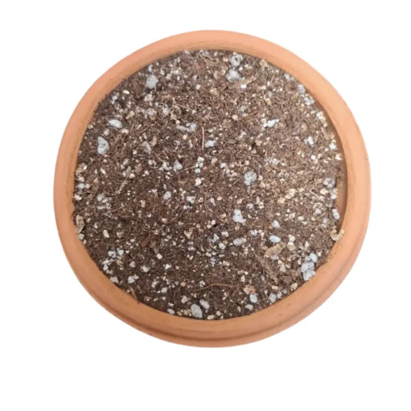 Sustrato para plantas carnívoras.